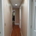 wallpaper removal and painting in princeton ma